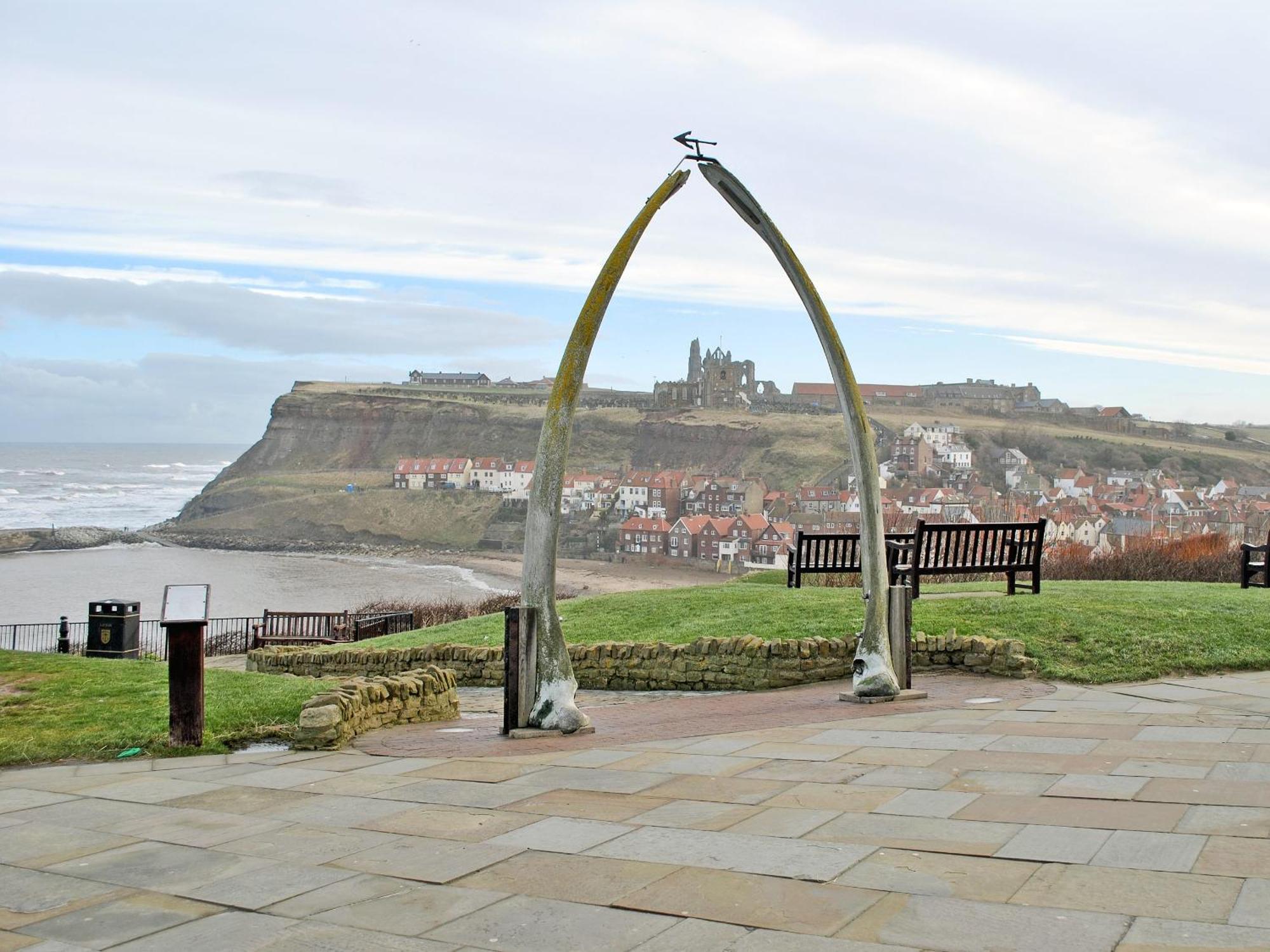 Downdinner Hill Whitby Zewnętrze zdjęcie